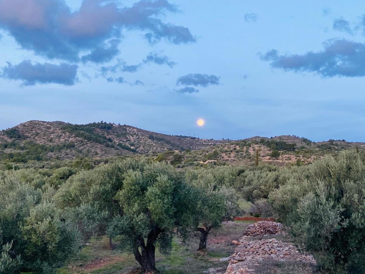 Bellissima Bell Tent * Tortosa