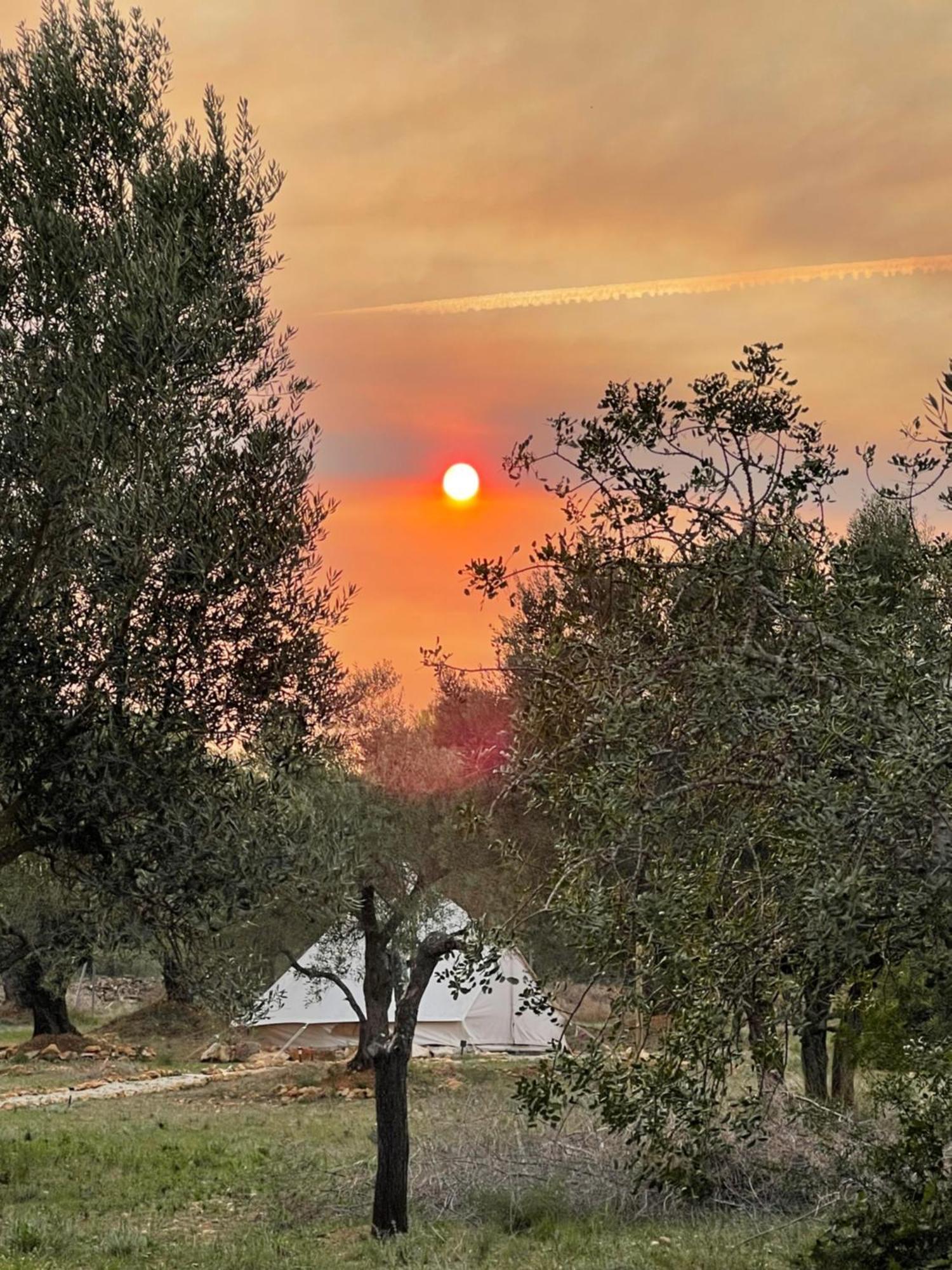 Tente de luxe Bellissima Bell Tent Tortosa